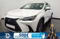 Lexus NX 350h Business City 4WD Blanc - thumbnail 1