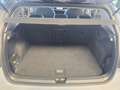 Volkswagen Golf VIII Lim. Life 1.5 TGI DSG MATRIX AHK ACC Grau - thumbnail 17