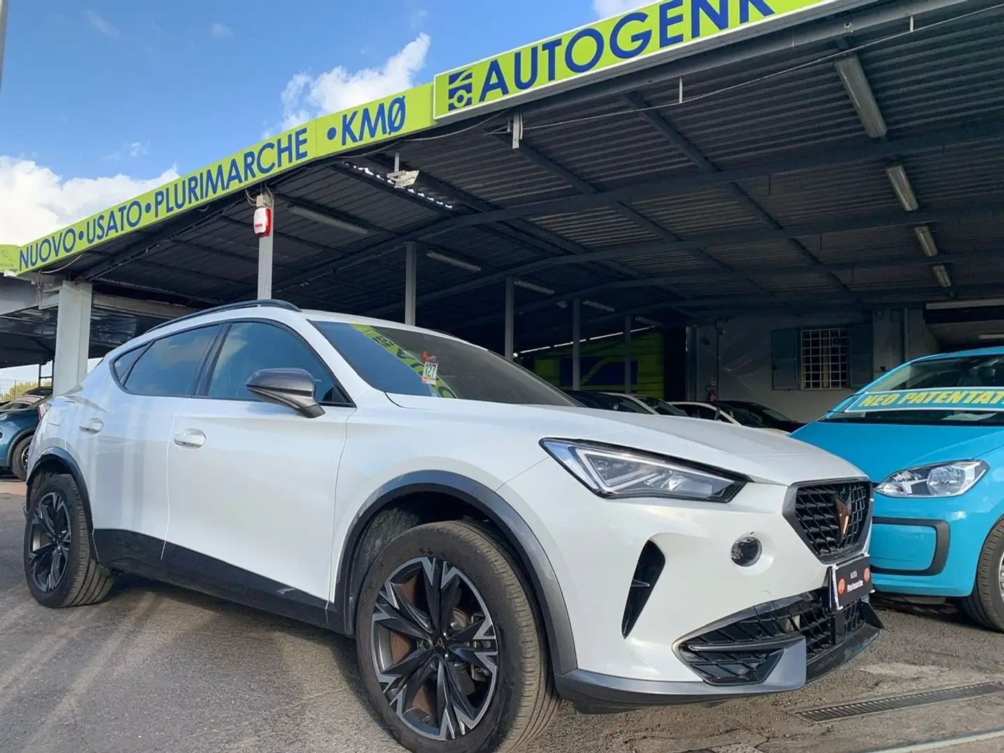 CUPRA Formentor 1.5 tsi dsg Bianco - 1