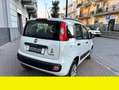 Fiat Panda fiat panda 900 metano easy certificata italiana Bianco - thumbnail 5
