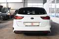 Kia Ceed SW / cee'd SW Cee'd SW 1,4 TGDI ISG Automatik / Kamera / Gara... Weiß - thumbnail 15