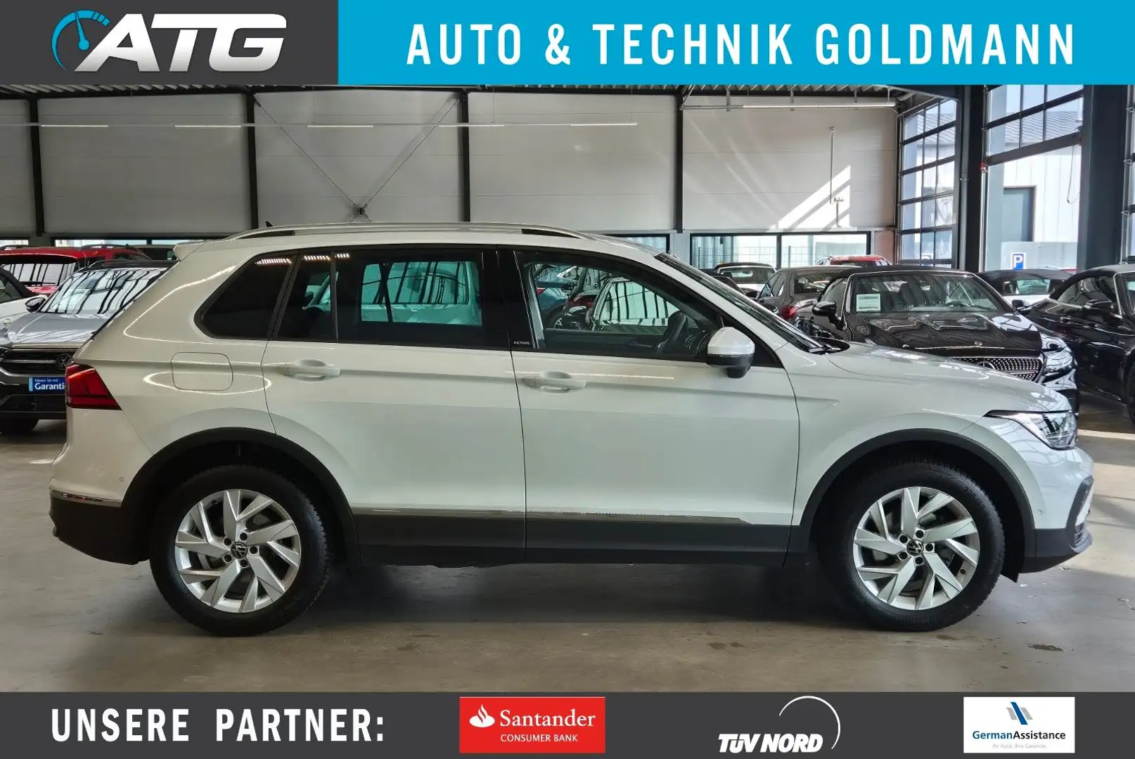 Volkswagen Tiguan TIGUAN 1.5 TSI ACTIVE NAVI SHZ CAMERA AHK ACC Weiß - 1