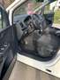 SEAT Alhambra Executive 2,0 TDI CR Weiß - thumbnail 7