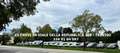 Mercedes-Benz 311 CDI SPRINTER F39/33 - 04/2020 - 90.000KM Bianco - thumbnail 14