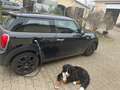 MINI Cooper SE Mini Cooper SE MINI Resolute Edition Schwarz - thumbnail 5