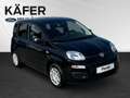 Fiat Panda 4x2 FireFly Hybrid 70 Pandina *ParkPilot* Schwarz - thumbnail 3