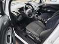 Ford C-Max Trend Weiß - thumbnail 9