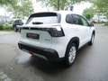 Suzuki S-Cross 1.4 Hybrid Comfort SHZ NAVI ACC LED Bianco - thumbnail 5
