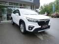 Suzuki S-Cross 1.4 Hybrid Comfort SHZ NAVI ACC LED Bianco - thumbnail 4