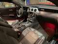 Ford Mustang Mustang Fastback 2.3 ecoboost 317cv auto Rosso - thumbnail 11