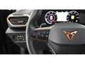 CUPRA Formentor 2.0 TDI 4Drive Aut LED STANDHZG RADAR Schwarz - thumbnail 21