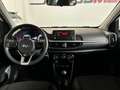 Kia Picanto 1.0 CVVT 49kW Concept (Pack Comfort) Biały - thumbnail 15