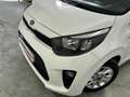 Kia Picanto 1.0 CVVT 49kW Concept (Pack Comfort) Biały - thumbnail 8