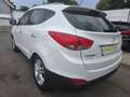 Hyundai iX35 Style 4WD Weiß - thumbnail 13