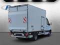 Mercedes-Benz Sprinter 516 CDI Kühlkoffer 5,5to+Frischdienst0° Weiß - thumbnail 5