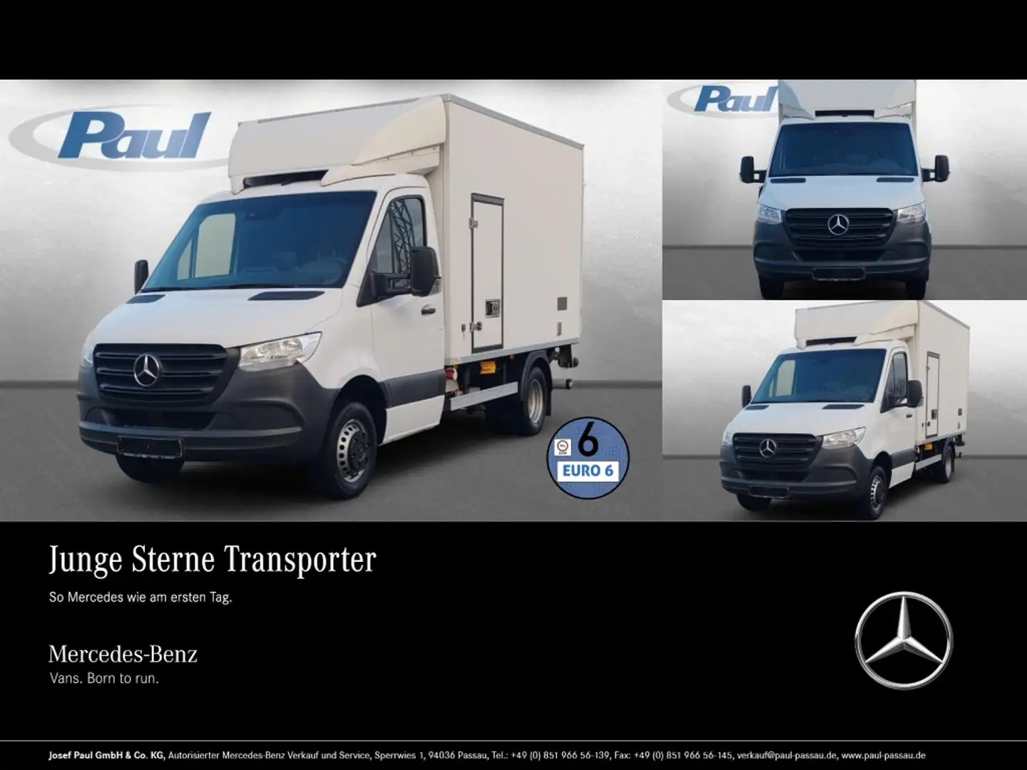 Mercedes-Benz Sprinter 516 CDI Kühlkoffer 5,5to+Frischdienst0° Weiß - 1