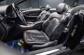 Mercedes-Benz CLK 500 V8 Cabrio AMG Avantgarde LPG  *Facelift* Schwarz - thumbnail 35
