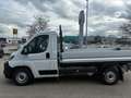 Fiat Ducato Pritsche35 Maxi L2 140 Multijet Weiß - thumbnail 8