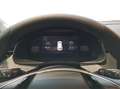 Skoda Kamiq 1.0 TSI Selection, AHK, Rückfahrkamera Grau - thumbnail 10