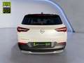 Opel Grandland 1.2 Turbo Elegance FLA 360 ParkAss. Blanco - thumbnail 5