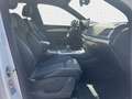 Audi Q5 50 TDI quattro S line (Int.) RFK*LED*Virtual Blanco - thumbnail 4