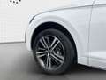 Audi Q5 50 TDI quattro S line (Int.) RFK*LED*Virtual Blanco - thumbnail 13