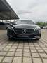 Mercedes-Benz E 220 E 220 d T-Modell Ava PanoDach AHK Winterpak RüKam LED Schwarz - thumbnail 10