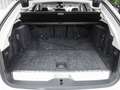 BMW 530 e xDrive A HUD ACC,Memory,DA-Prof., AHK RFK NAVI L Weiß - thumbnail 17