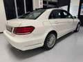 Mercedes-Benz E 350 BlueTEC 4Matic Automatic Premium Bianco - thumbnail 5