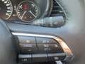 Mazda CX-30 /G140/Nagisa Grau - thumbnail 17