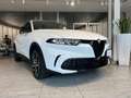 Alfa Romeo Tonale Tonale 1.6 Super 130cv tct6-NAZIONALE-UFFICIALE! Blanco - thumbnail 1