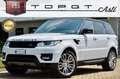 Land Rover Range Rover Sport 3.0 tdV6 HSE Dynamic 249cv auto TETTO, SERVICE UFF Bianco - thumbnail 1