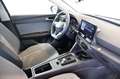 SEAT Leon SP 1.0 eTSI Style AID+KAM+FRONT+LANE+LED Grau - thumbnail 12