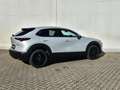 Mazda CX-30 2.5L G140PS 6MT 2WD HOMURA Weiß - thumbnail 6