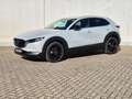 Mazda CX-30 2.5L G140PS 6MT 2WD HOMURA Weiß - thumbnail 3
