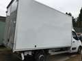Renault Master White - thumbnail 6
