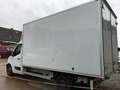 Renault Master White - thumbnail 8