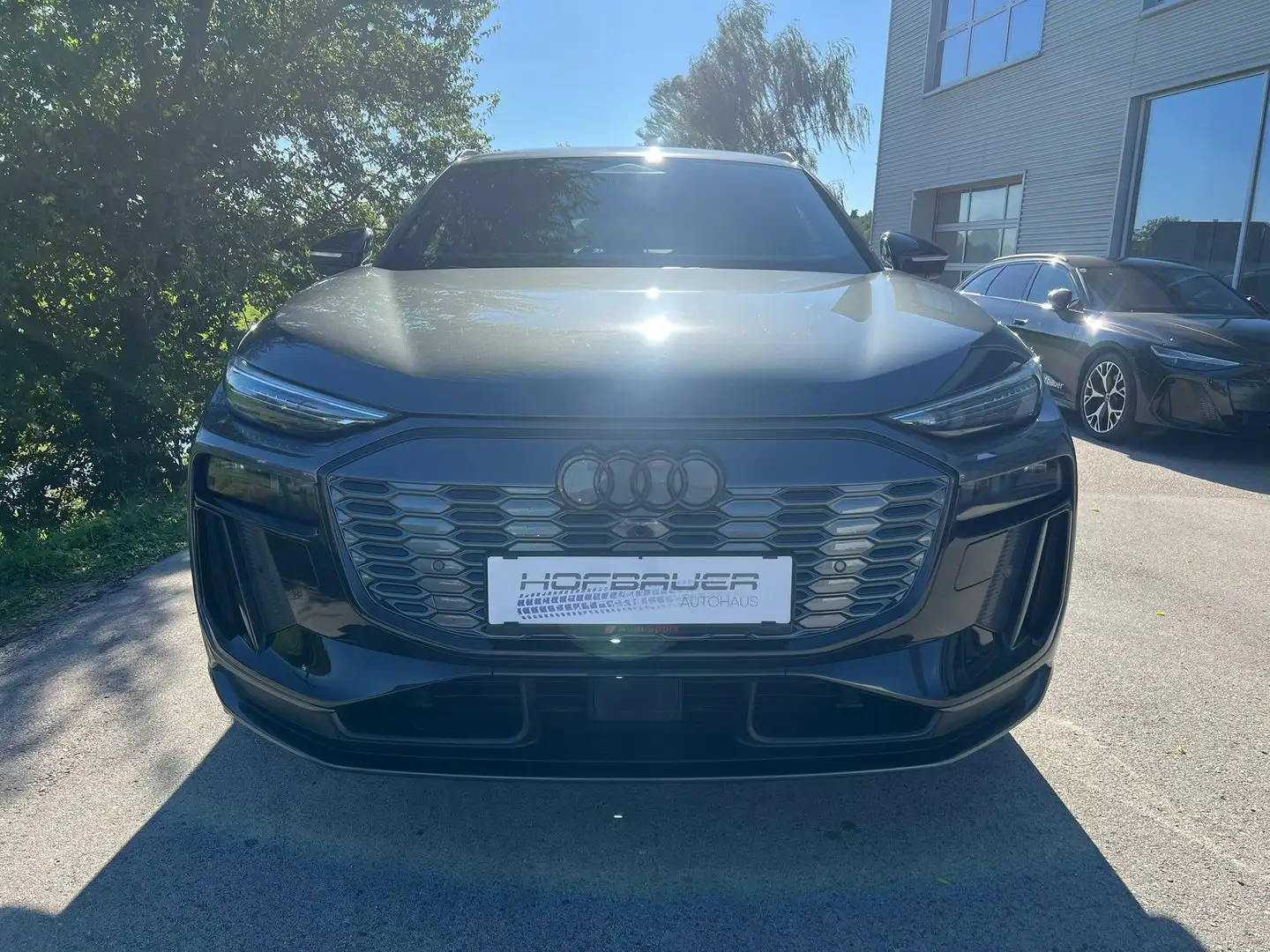 Audi SQ6 e-tron e-tron Grau - 2