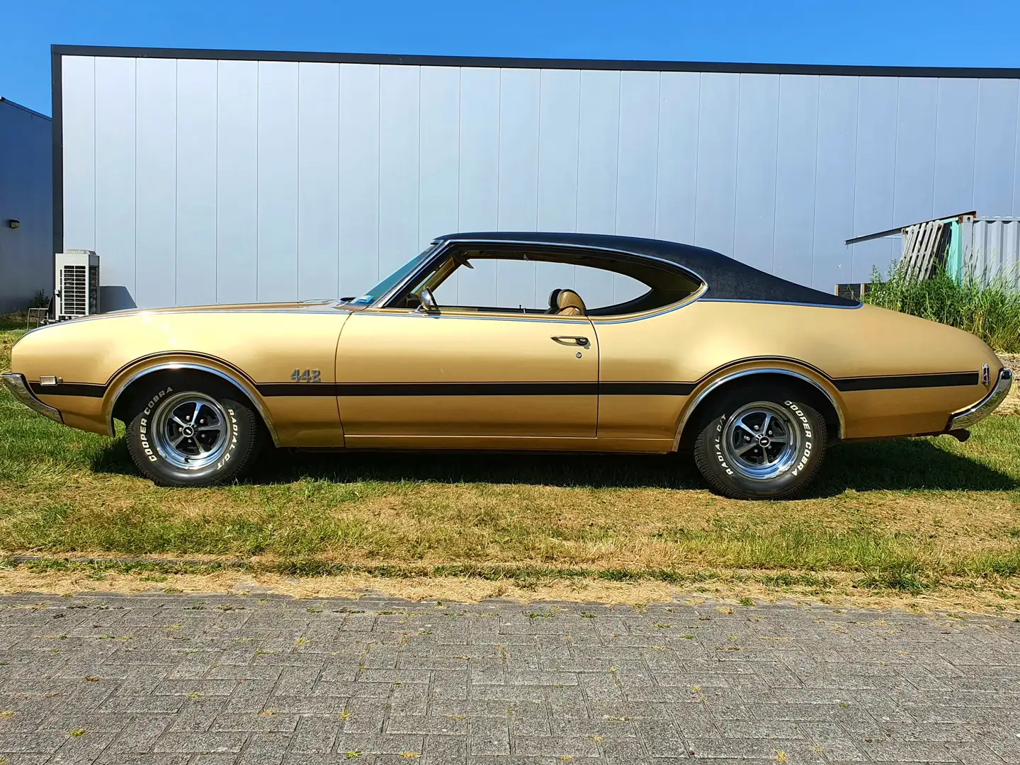 Oldsmobile 442 Holiday Coupe Goud - 2