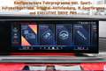 BMW 750 e xDrive M-Sport *SHADOW*EXEC.DRIVE*INTEGRAL* Grau - thumbnail 29