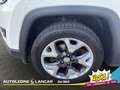 Jeep Compass 1.4 Multiair Limited 2wd 140cv Weiß - thumbnail 14