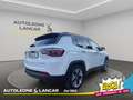 Jeep Compass 1.4 Multiair Limited 2wd 140cv Weiß - thumbnail 7