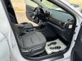 Hyundai IONIQ PHEV 1.6 GDI Klass Blanco - thumbnail 14