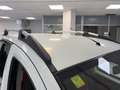 Fiat Qubo QUBO 1.3 MJT 75 CV Dynamic Білий - thumbnail 13