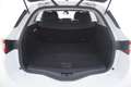 Renault Megane Sporter Business EDC 1.5 Diesel 116CV Bianco - thumbnail 14