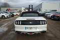 Ford Mustang VII  2.3  CABRIOLET  317 Bianco - thumbnail 7