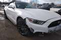 Ford Mustang VII  2.3  CABRIOLET  317 White - thumbnail 14