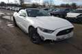 Ford Mustang VII  2.3  CABRIOLET  317 Blanc - thumbnail 1