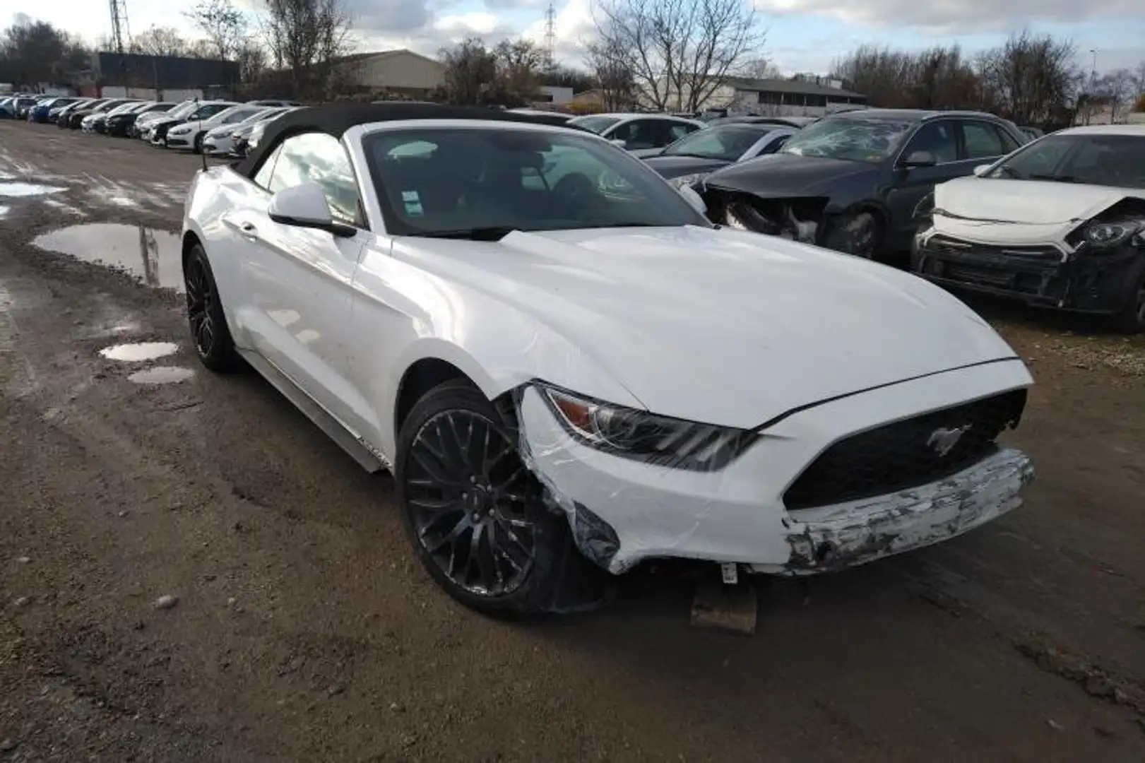 Ford Mustang VII  2.3  CABRIOLET  317 Blanc - 1