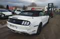 Ford Mustang VII  2.3  CABRIOLET  317 Blanc - thumbnail 9